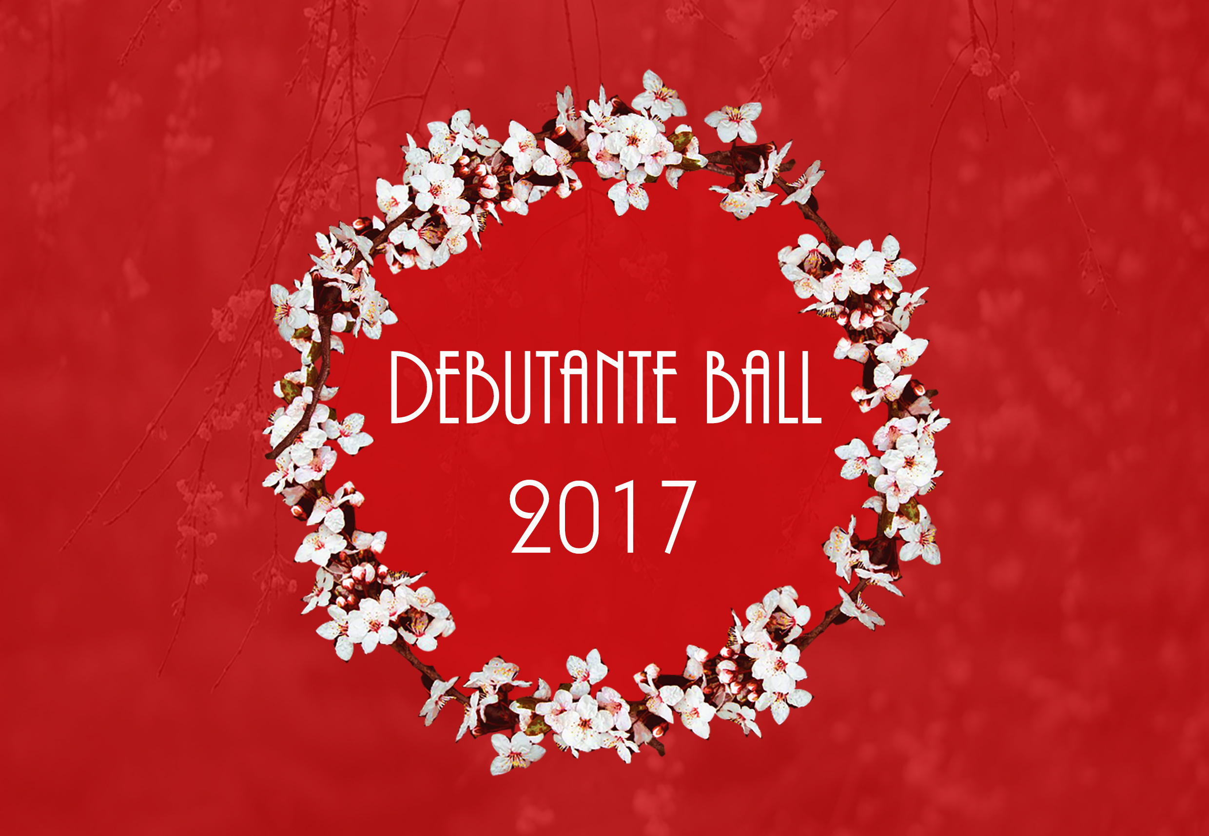 2017 Debutante Ball